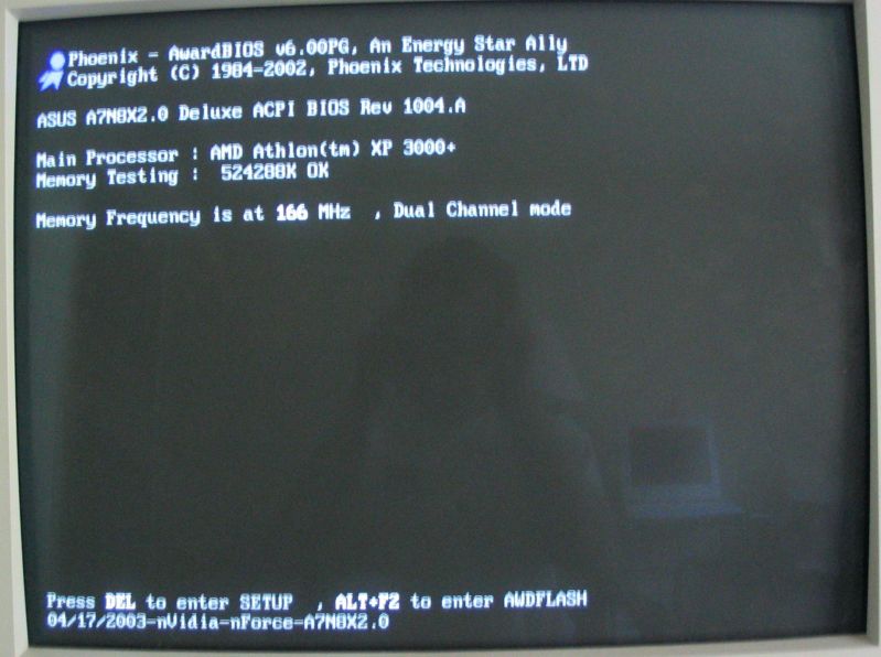 ASUS-A7N8X-BIOS-Post.jpg